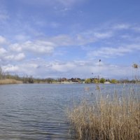 **** :: Виктор 