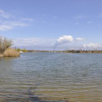 **** :: Виктор 