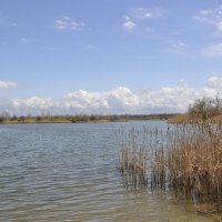 **** :: Виктор 