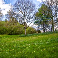 Весенний этюд. :: Lucy Schneider 