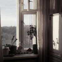 Травка зеленее, солнышко блестит... :: Елена Минина