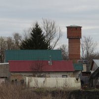 Сельская зарисовка :: Елена Минина