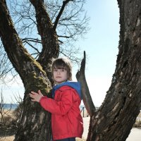 ... :: ВЛАДИМИР 