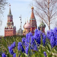 Зарядье 22 апреля :: Михаил Бибичков