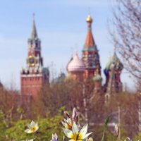 Зарядье 22 апреля :: Михаил Бибичков