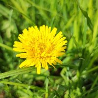 ,,, :: Сергей Тимоновский