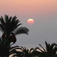 Из восходного :: svk *