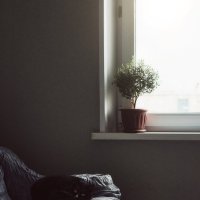 Сончас :: Мария Шабурникова