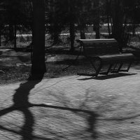 В парке :: Сергей Матвеенко