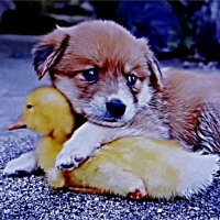 НАГЛЯДНОЕ ПОСОБИЕ :: Юрий Владимирович 34