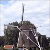 Ветряная мельница Riekermolen под  Амстердамом :: Ольга Довженко