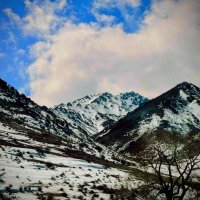 Горная красота :: Георгиевич 