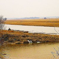 Май...Охотничий скрадок возле  протоки! :: Владимир 