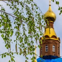 Весенние зарисовки ... :: Ravile 