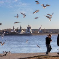 *** :: Андрей Дурапов