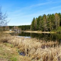 Весна в деревне. :: Милешкин Владимир Алексеевич 