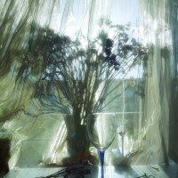 Натюрморт солнечных лучей.... :: Виктор Савельев