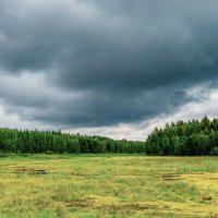 Болото :: Олег Подлесных