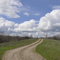 **** :: Виктор 