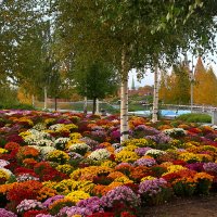 Парк Зарядье :: Игорь Белоногов