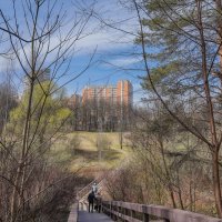 В весеннем парке... :: Владимир Жданов