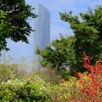 Шэньчжэнь (2) :: Георгий А