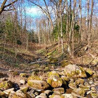 Русло высохло - дождей нет. :: Лия ☼