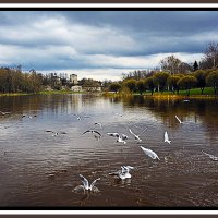 Пейзажная зарисовка :: Владимир Кроливец