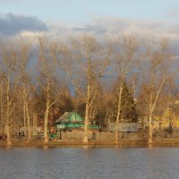 весна на пруду :: Сергей Кочнев