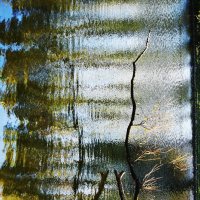 \\\\\\ :: Виктор Никитенко