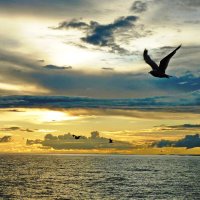 Ладога :: shasha1950 