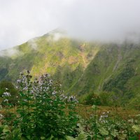 *** :: Александр Хаецкий