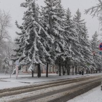 Весенняя красота :: Виктор Иванович Чернюк