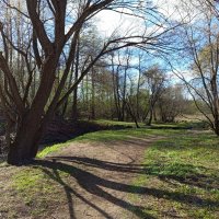 Прозрачность апреля :: Андрей Лукьянов