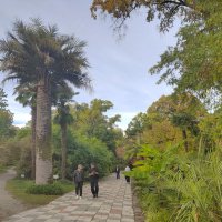 В Ботаническом  саду :: Фотогруппа Весна