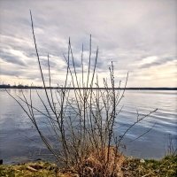 Нарвское водохранилище :: Veera V