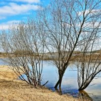 Ранняя весна на берегу Сырого Агана! :: Владимир 