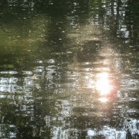 В Харитоновском парке :: Елена Шаламова