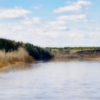 Половодье на реке Кильмезь, 23 апр. 2026 г. :: Василий Ахатов