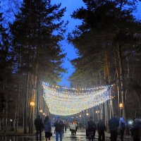 Вечерний дождь. Весна :: Татьяна Лютаева