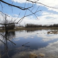 Весна :: Anna Ivanova