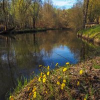 У Тихой Воды :: юрий поляков