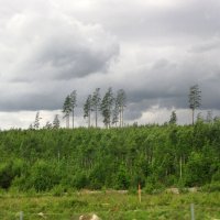 Вблизи деревни Дорарп (Dörarp) :: Александр Ильчевский 