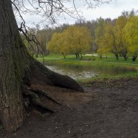 ***** :: юрий поляков