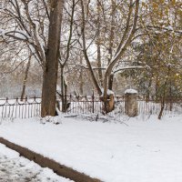 Снег поздней весной :: Александр Синдерёв