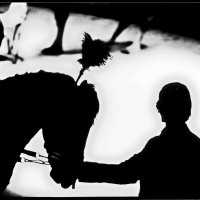 ФОТОГРАФИКА. Цирк ШАПИТО :: Алексей Кузнецов