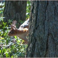 Однажды в мае... :: Aquarius - Сергей
