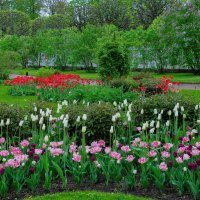 Весна в парке Екатерининского дворца :: Татьяна Машошина