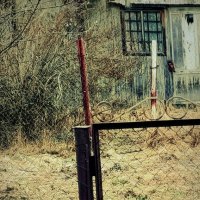 он всё ещё приходит в надежде встретить шарика... :: Любовь 