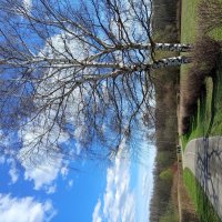 Апрель, который радовал нечасто :: Андрей Лукьянов